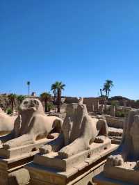 기자 대스핑크스: 신비의 얼굴과 사막의 절경