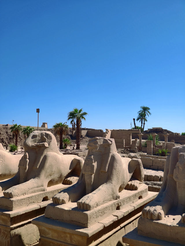 기자 대스핑크스: 신비의 얼굴과 사막의 절경