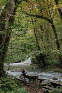 青森奧入瀨溪流+十和田湖一日散步路線