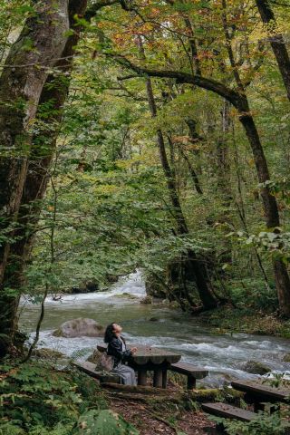 青森奥入瀬渓流＋十和田湖一日散歩コース