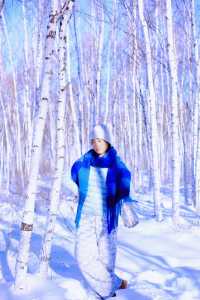 漠河三天兩晚人均3位數,怎麼玩?