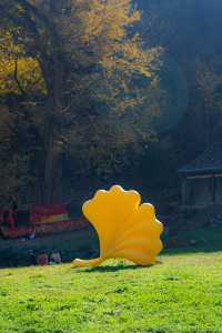 王屋山銀杏攻略|邂逅千年樹冠下的金色秋天