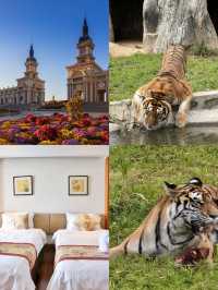 秋日限定哈爾濱-牡丹江-延邊必衝攻略