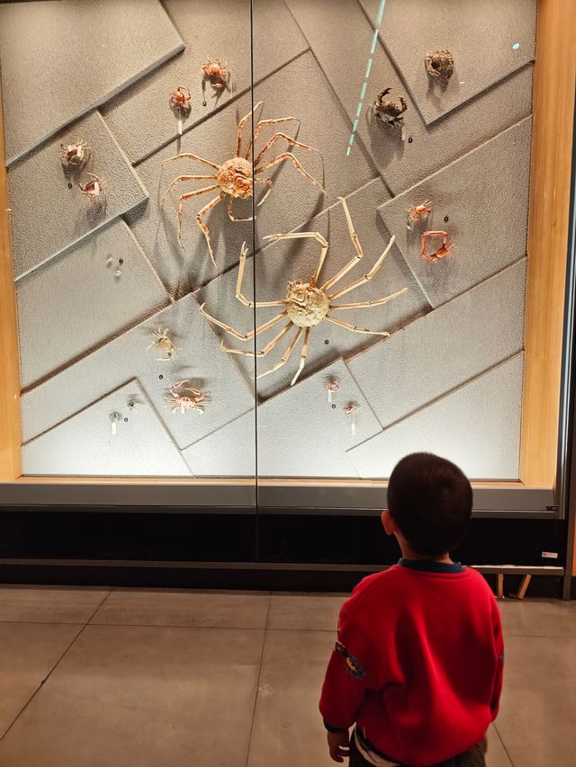 我認證過的全國最好的自然博物館