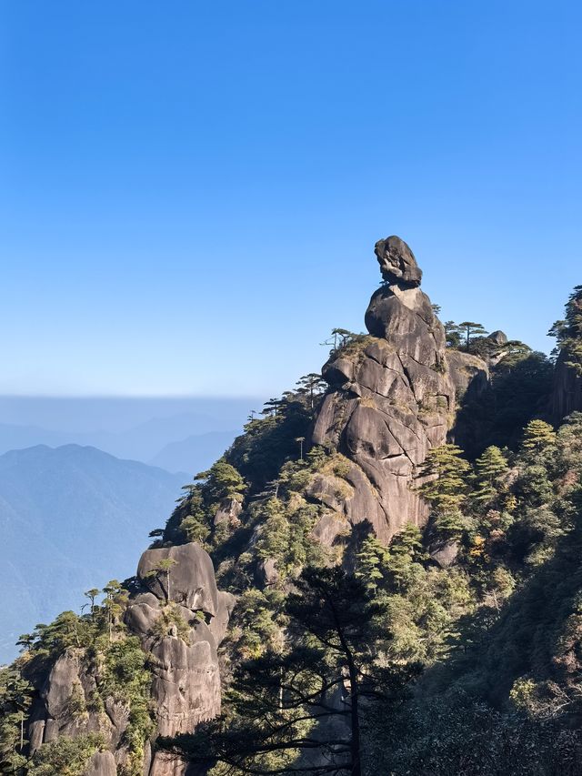聽我的，不費腿看美景