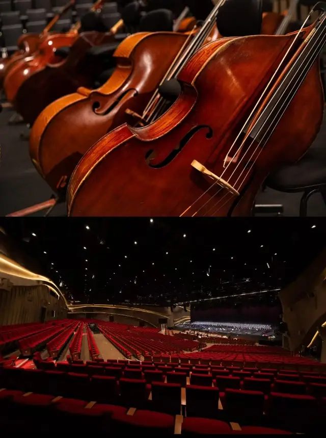 The Tide Rises with Ode to Joy, The World Listens to Yanguan