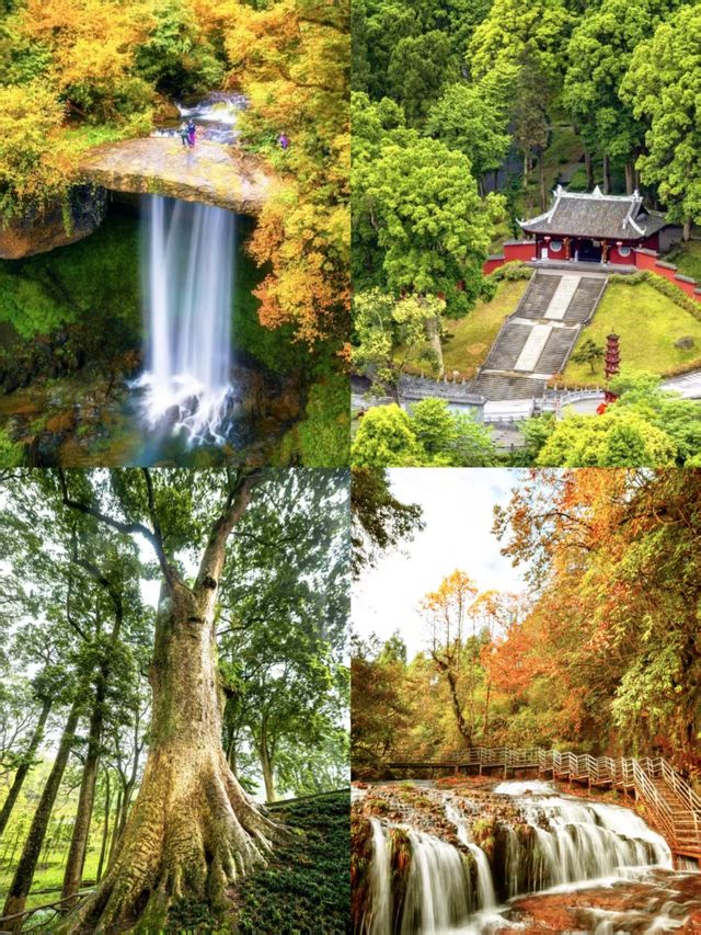 疊翠溪集翠溪森林奇景於一體的旅遊寶藏地