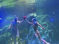 企鵝巡遊與白鯨之戀的奇幻盛宴