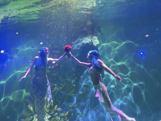 企鵝巡遊與白鯨之戀的奇幻盛宴