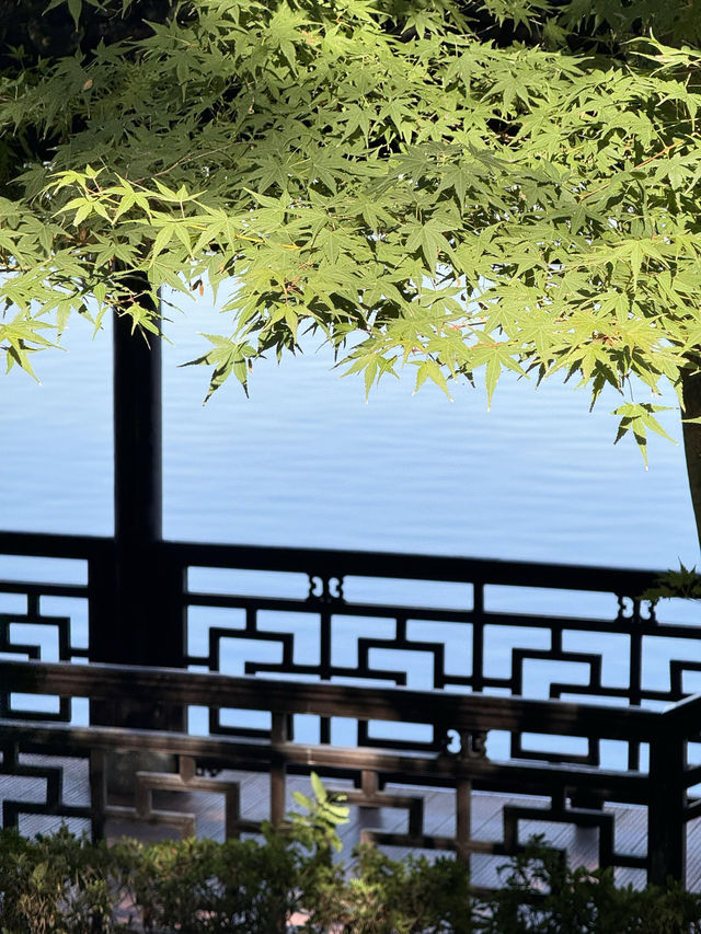 絕美莫愁湖打卡攻略