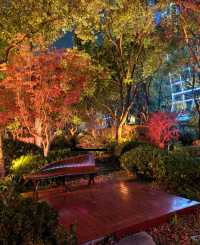 夜櫻暴擊!北外灘晚櫻秘境美到犯規!