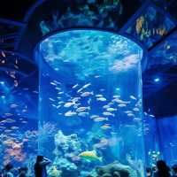 珠海旅遊攻略|一座「浪漫之城」,讓你玩出新高度!