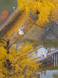 楠溪江秋冬遊攻略一鍵解鎖金黃柿子+古村曬秋+紅楓古道