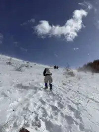 不是北歐，勝似北歐！雪後樺皮嶺