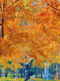 上海的秋日藝術巡禮