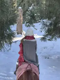 舒適版新疆看雪玩雪攻略…