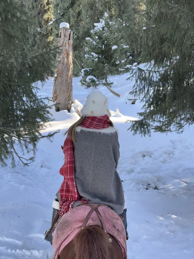 舒適版新疆看雪玩雪攻略… 舒適版新疆看雪玩雪攻略…