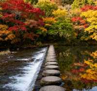 秋季徒步天花板｜黃陂屁屁溝，小眾秘境美到封神！