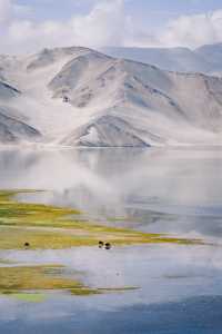 七天,從喀什古城的黃昏到慕士塔格的雪線