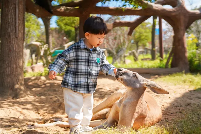 2h直達上海周邊遛娃聖地南通野生動物