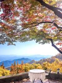 莫干山賞楓攻略不早起錯過整個秋天!