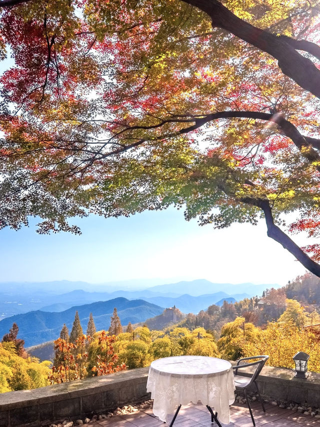 莫干山賞楓攻略不早起錯過整個秋天! 莫干山賞楓攻略不早起錯過整個秋天!
