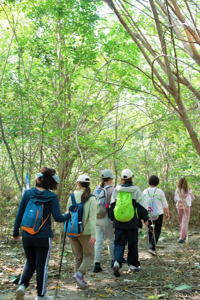【Saturday, 11.22】Zhenjiang Nanshan Grand Canyon 7km Hike