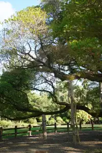 在福州｜安利這個值得帶小朋友N刷的寶藏公園