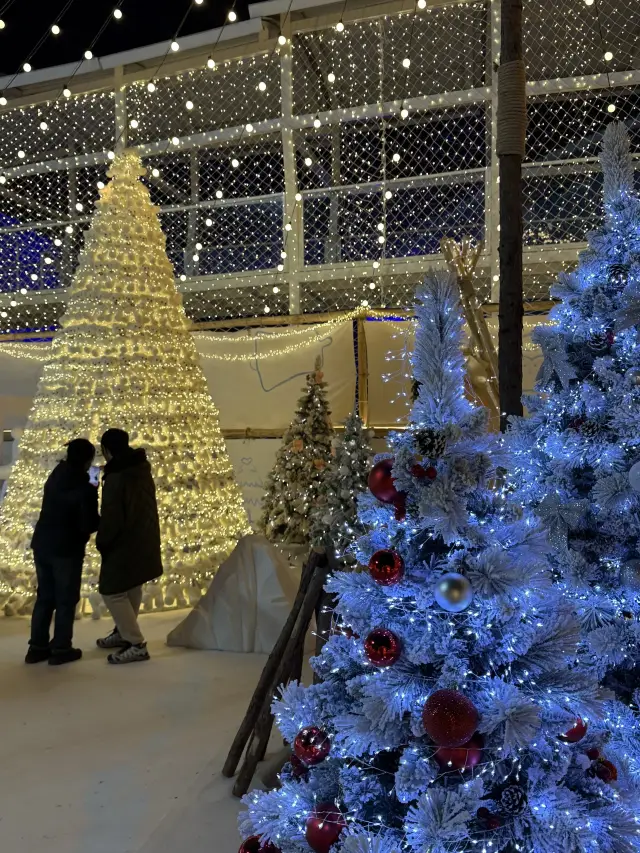 哈爾濱極地公園｜現實版聖誕童話照進生活