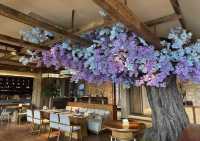 森野溫泉度假指南