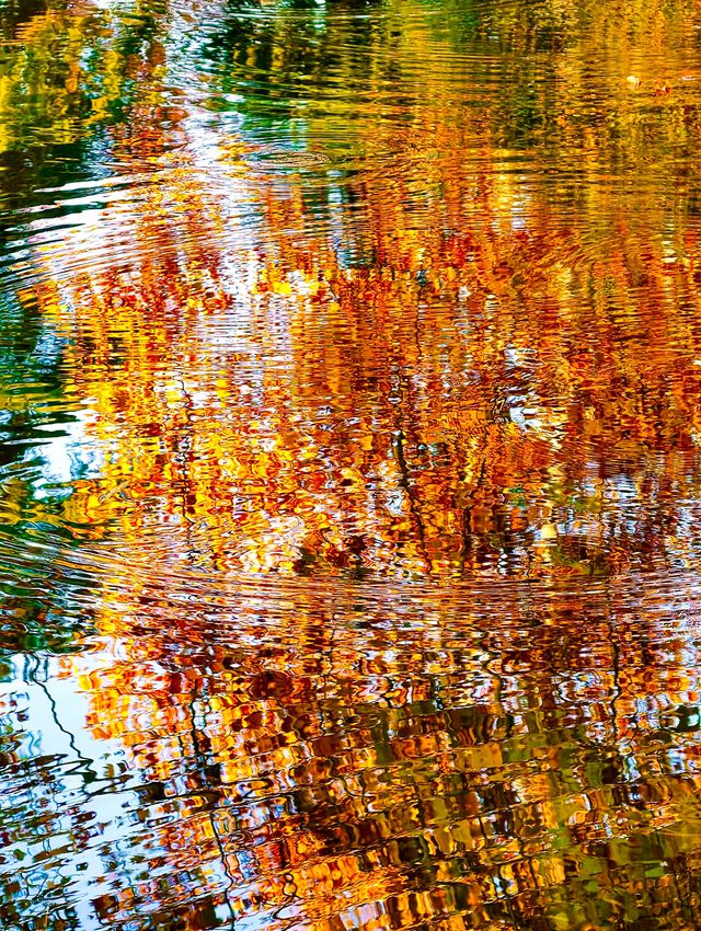 秋色滿園絕美倒映