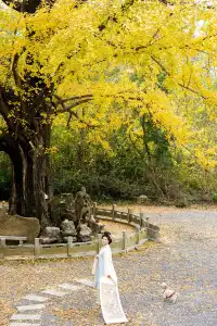 “我言秋日勝春朝”