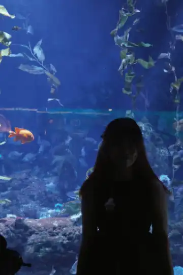 瓦倫西亞轉機4小時速通歐洲最大海洋館