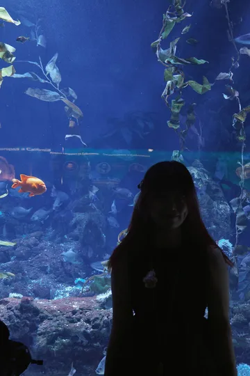 瓦倫西亞轉機4小時速通歐洲最大海洋館