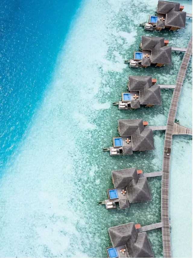 老牌奢華蜜月島，馬爾代夫芙花芬氛圍感拉滿