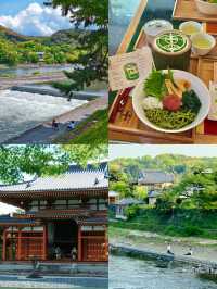 第一次來日本巨巨詳細攻略閉眼衝！