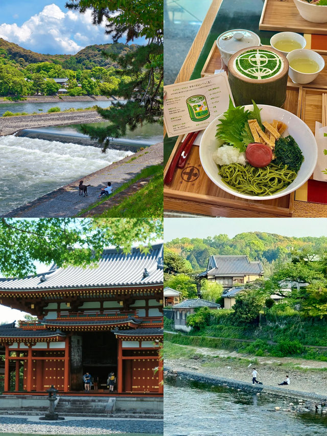 第一次來日本巨巨詳細攻略閉眼衝！