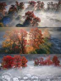 婺源石城秋日行攝全攻略｜沉浸於紅葉晨霧的水墨畫境