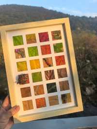 蘇州秋色這樣拍太絕了