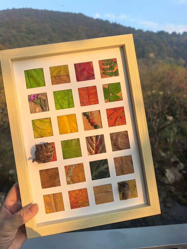 蘇州秋色這樣拍太絕了