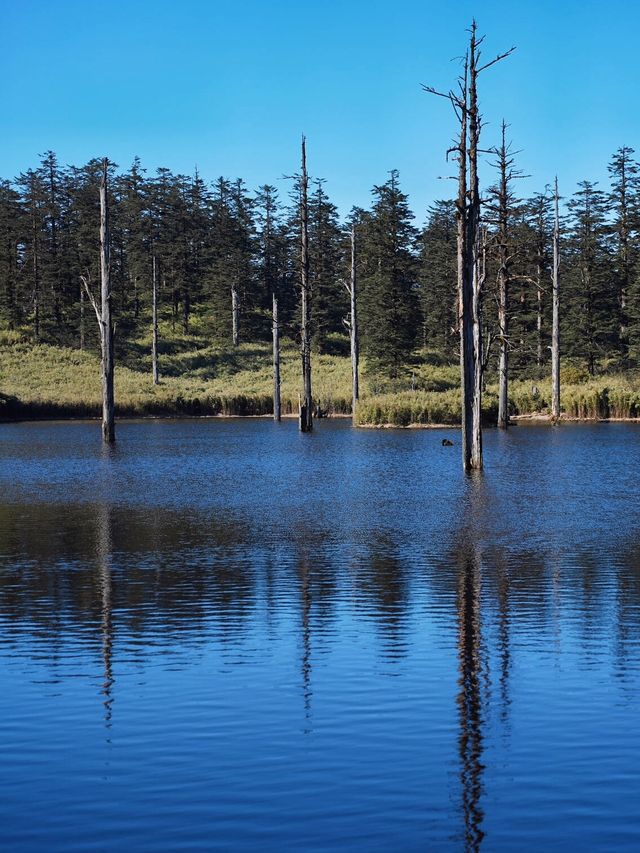 亞洲最大桌山瓦屋山雲海全攻略沒下雪也絕美 亞洲最大桌山瓦屋山雲海全攻略沒下雪也絕美