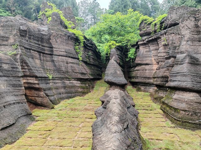 湘西地質公園.紅石林 湘西地質公園.紅石林