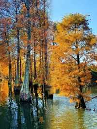 江蘇人嘴真嚴,這麼美的地方藏著不說~