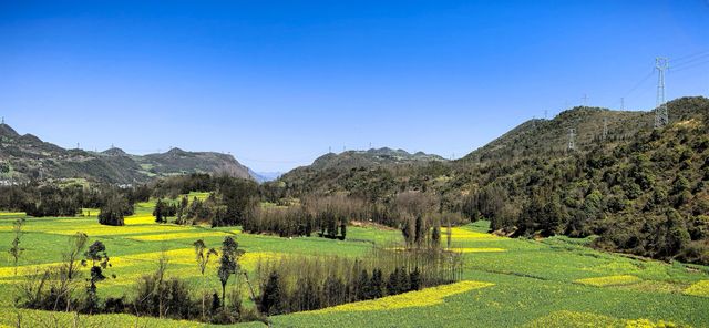 峰叢花田醉我心