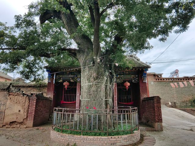 山西高平建北古村 山西高平建北古村