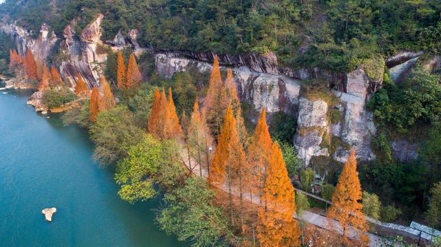 帶爸媽遊仙都|人均500+玩轉山水秘境 這份攻略太省心啦! 帶爸媽遊仙都|人均500+玩轉山水秘境 這份攻略太省心啦!