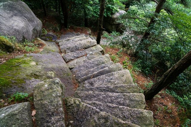 九華山兩日閒遊攻略:遇見山間的禪意與清涼 九華山兩日閒遊攻略:遇見山間的禪意與清涼