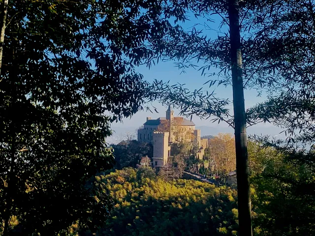 莫干山蔣公道秋日徒步 莫干山蔣公道秋日徒步