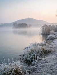 避開人潮!尚湖8.5折購票+隱藏月季園,親測不踩雷