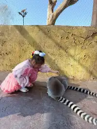 南昌周邊遊|遛娃天花板唯美動物世界